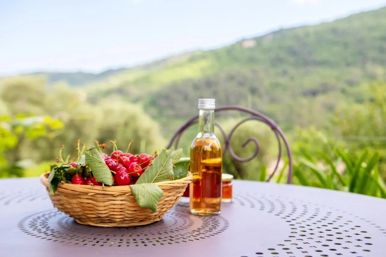 Holidays In Provence Alpes Maritimes Le Bar-sur-Loup