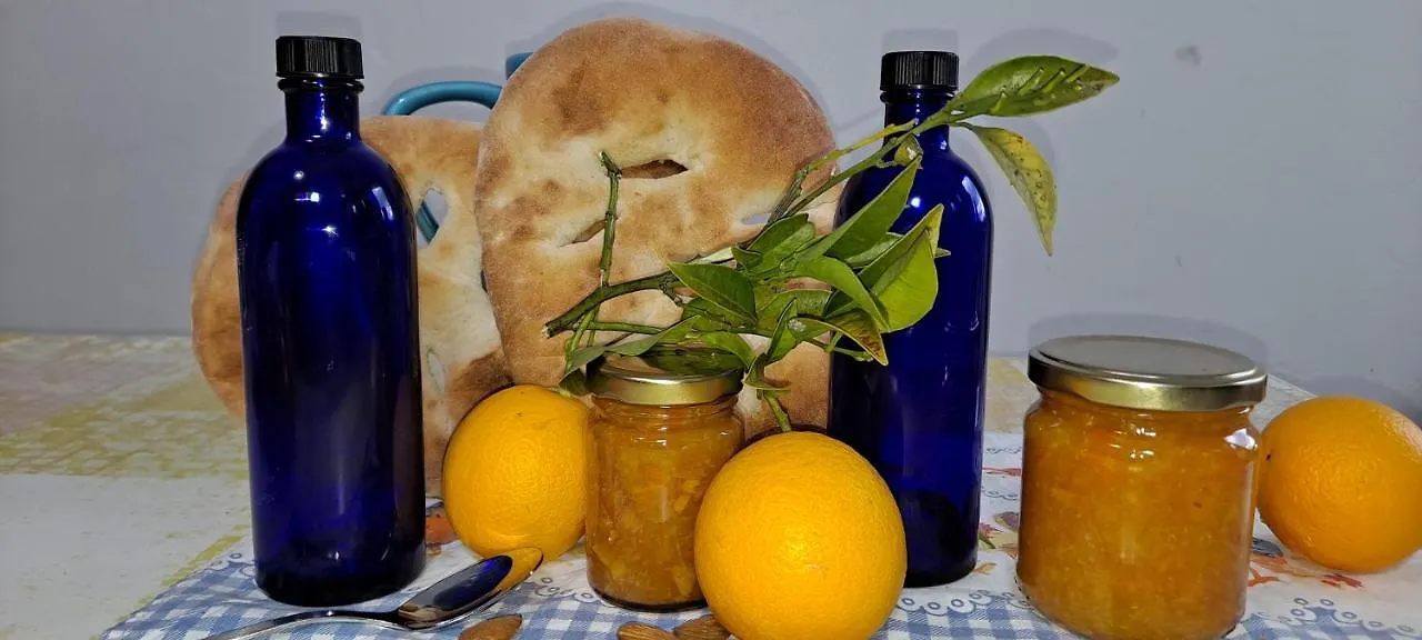 Holidays In Provence Alpes Maritimes Le Bar-sur-Loup Holiday home
